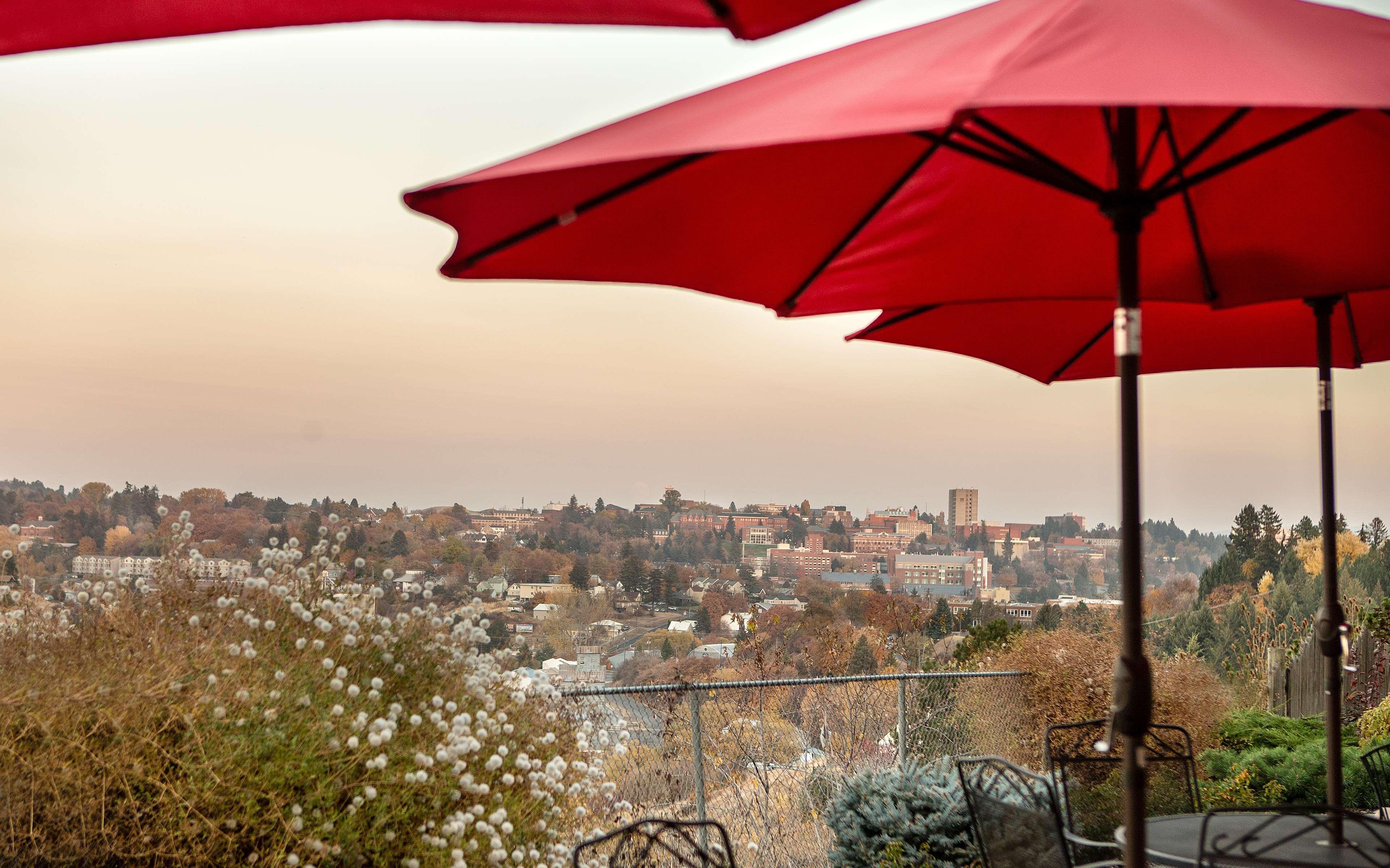 Coast Hilltop Inn Pullman Buitenkant foto